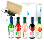 特選果汁炭酸セット(10本)　包装あり