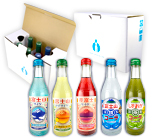 ふじさんセット(10本)　包装あり